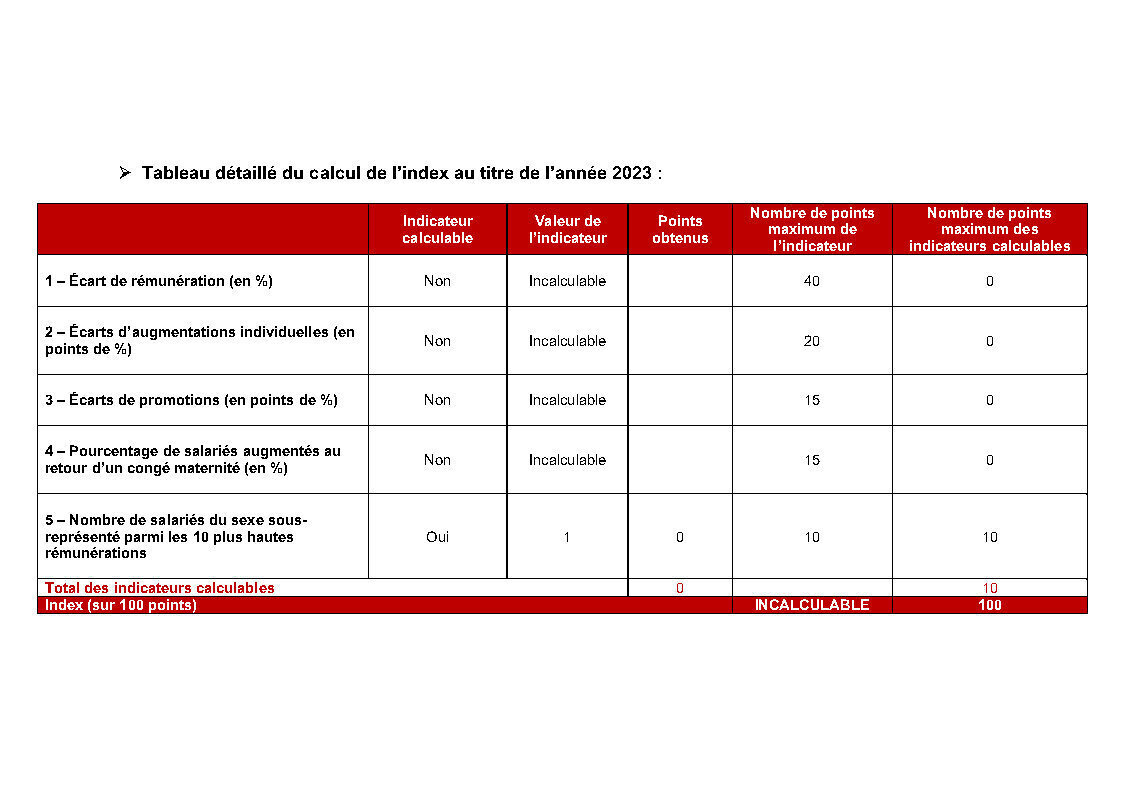 Index égalité HOMMES/FEMMES 2