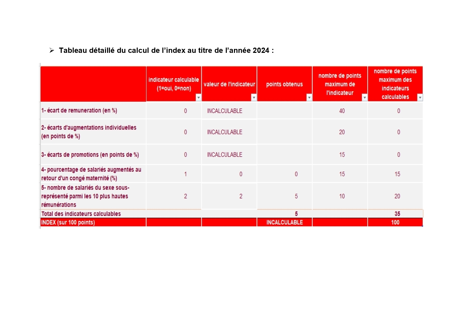 Index égalité HOMMES/FEMMES 2